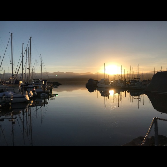 Meet your Posher, Katie - Picture 1 of 1